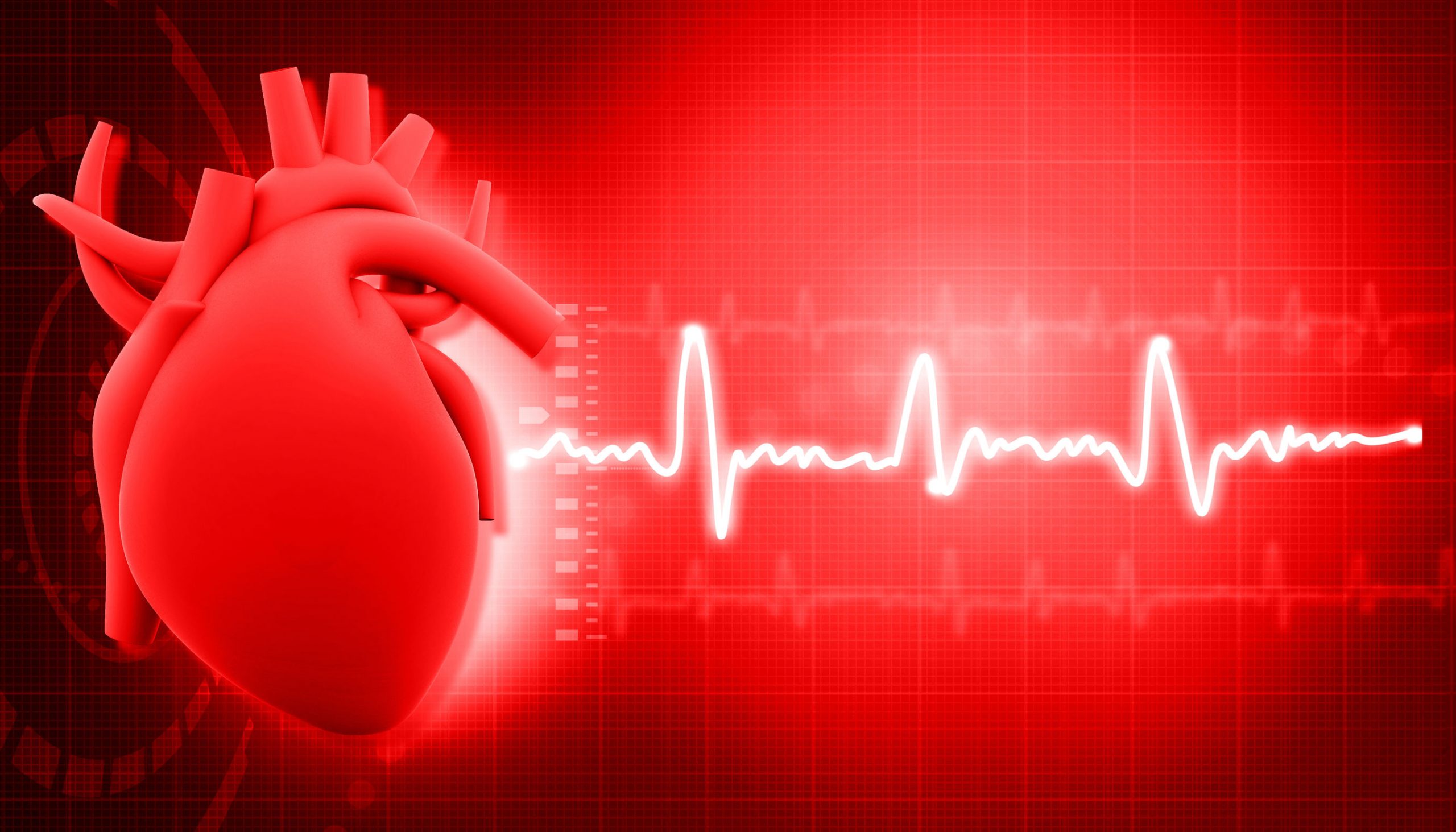Frequenza Cardiaca e Variabilità Cardiaca