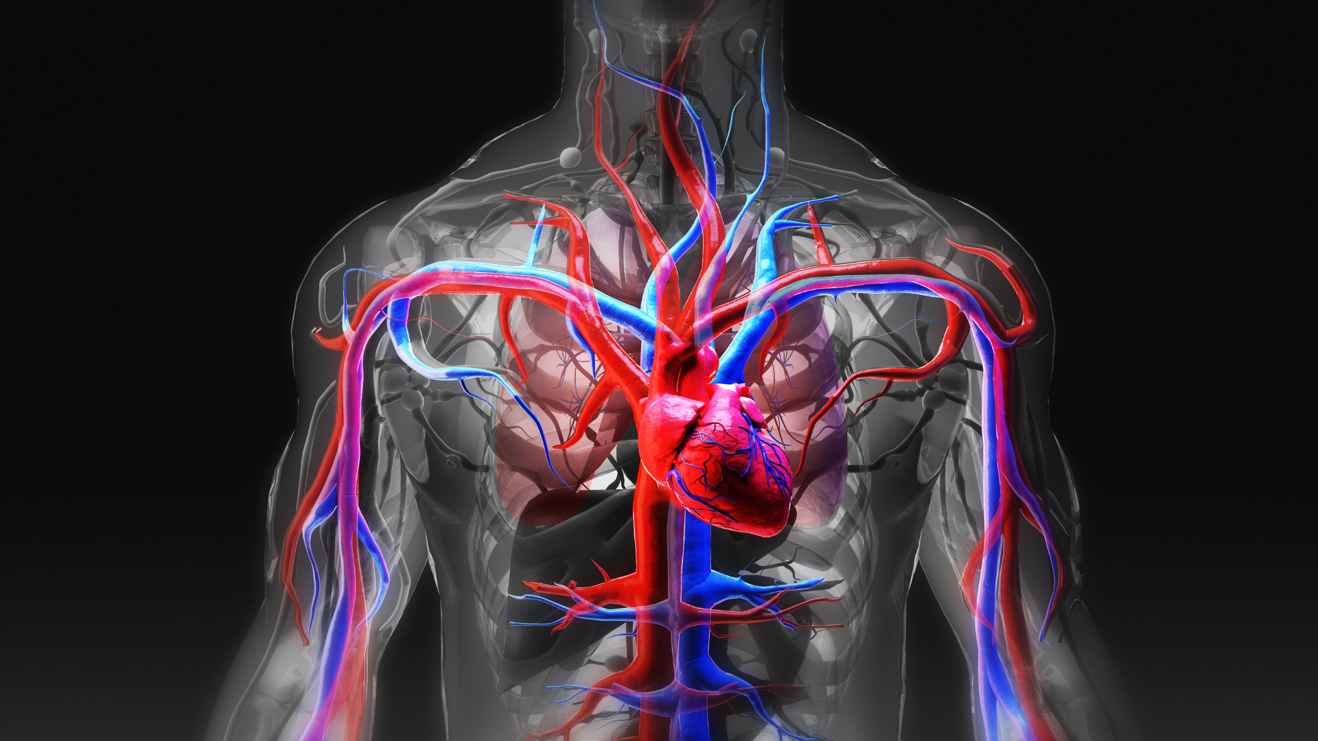 Allenamento cuore