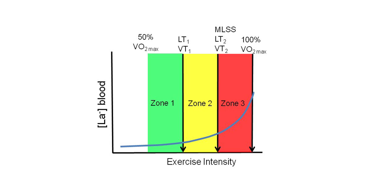 zone di allenamento